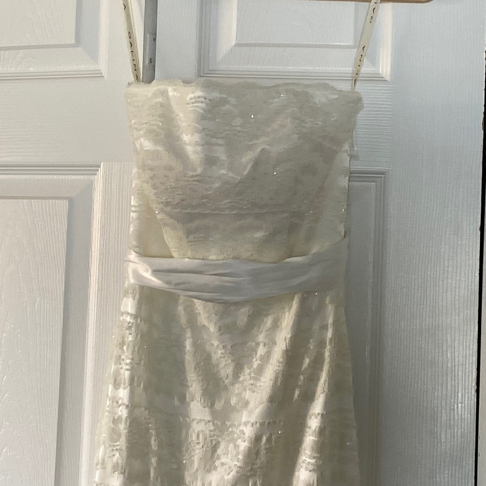 Lovely Davids Bridal lace gown with sequins [Ivory] - Picture 3 of 12